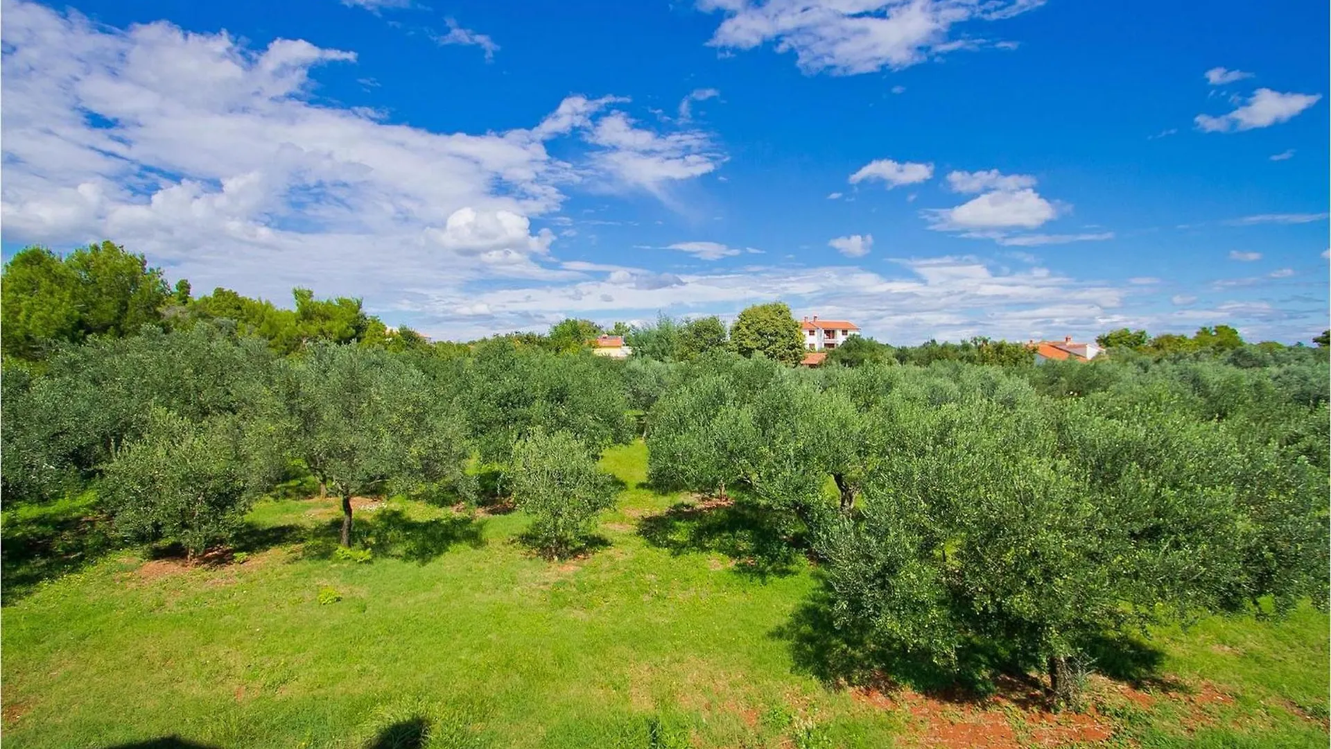 Casa de Férias Villa Matia PUY